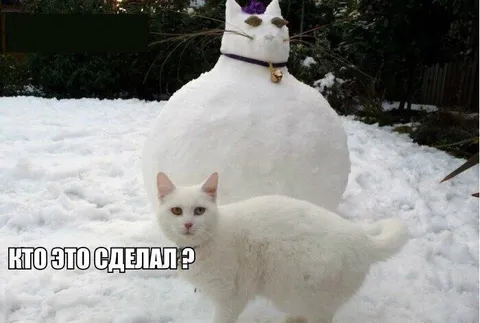 Кто это сделал?