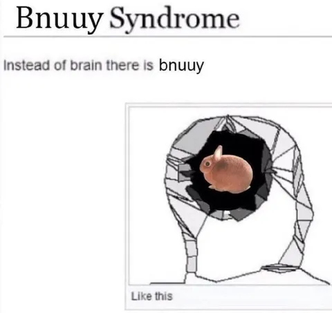 Vnuuy Syndrome Bunny Brain