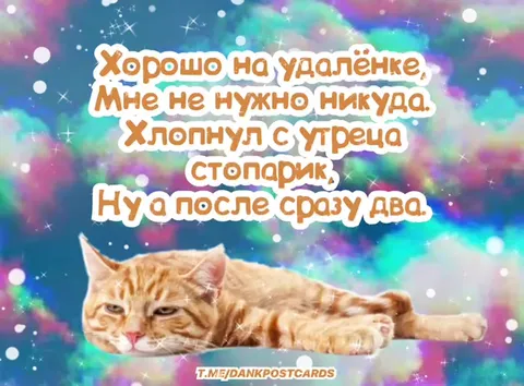 Удалёнка и стопарик