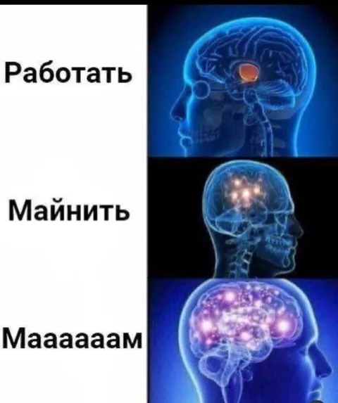 Работать, майнить или маааам
