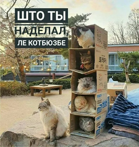 Что ты наделал, Ле Котьюзье