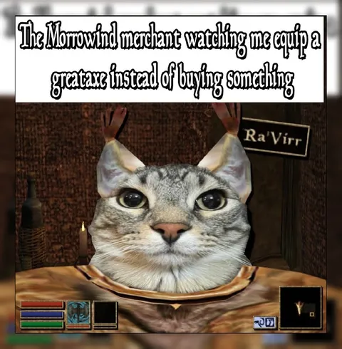 Morrowind Merchant Watching My Great Axe