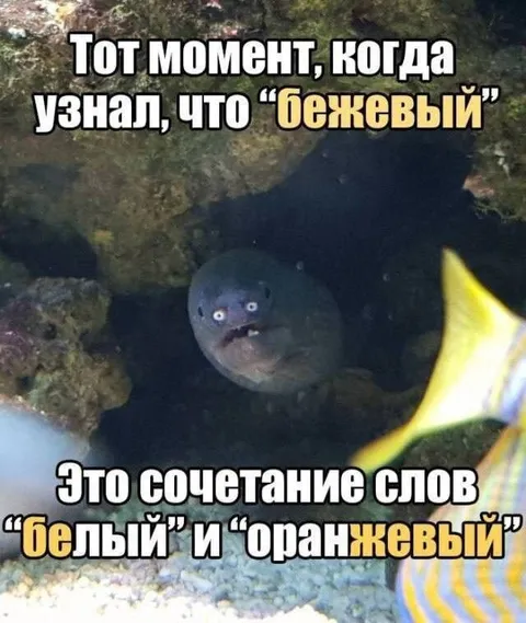 Когда узнал про бежевый