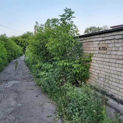 Не срать у стены