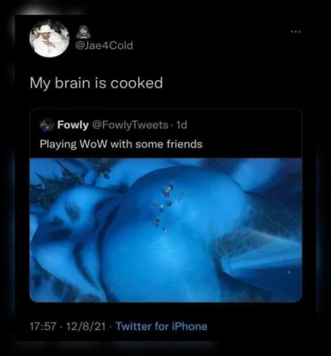 My Brain Is Cooked WoW