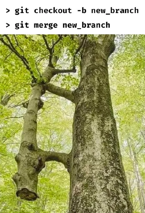 Git Merge Branch Tree