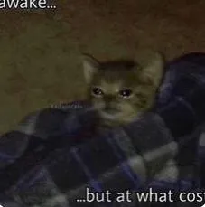 Awake But At What Cost