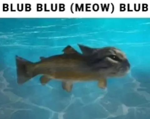 Underwater Catfish Meowing