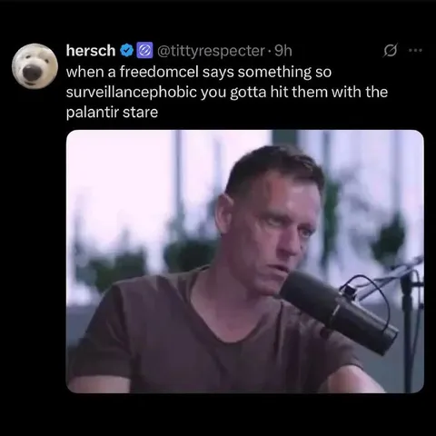 Palantir Star Surveillance Reaction