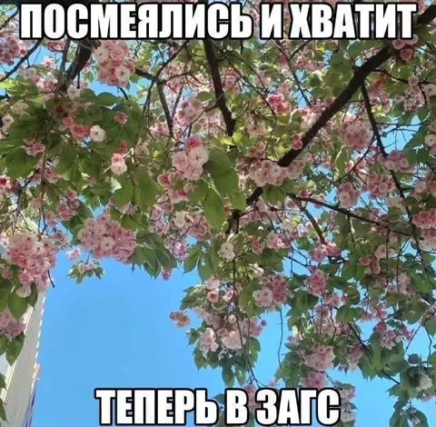 Посмеялись и хватит