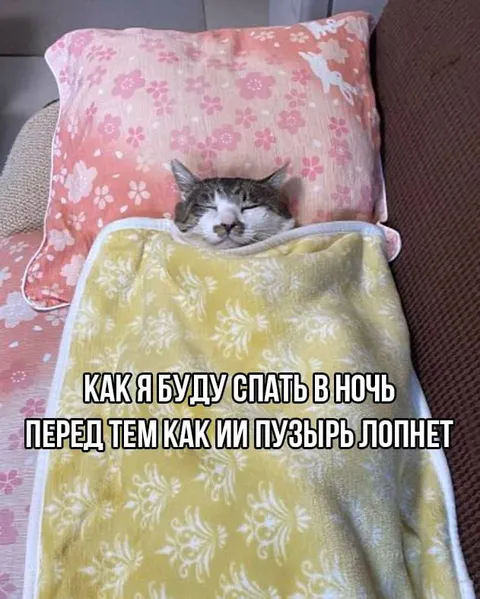 Кот готовится спать ночью