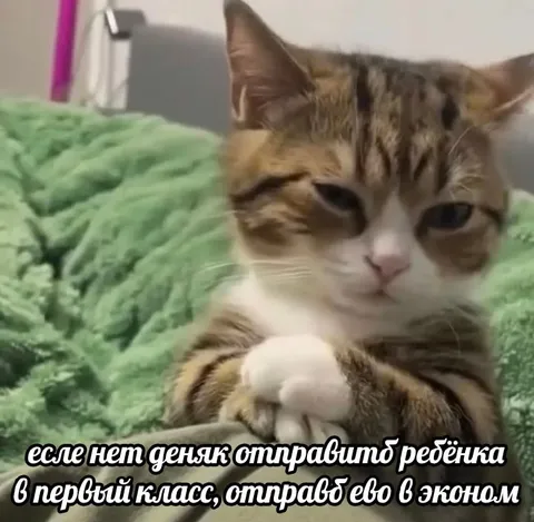 Ребёнок в первый класс экономом