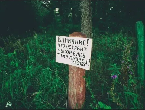 Угроза за мусор в лесу
