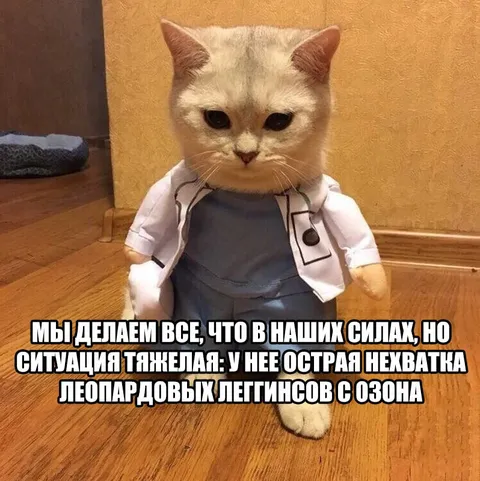 Острая нехватка леопардовых леггинсов