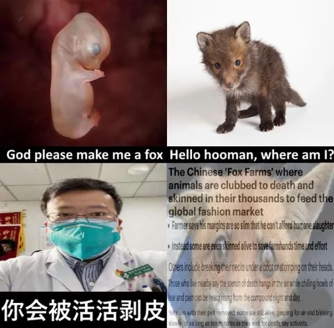 God Please Make Me a Fox