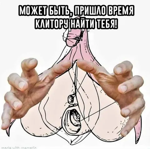 Время найти клитор