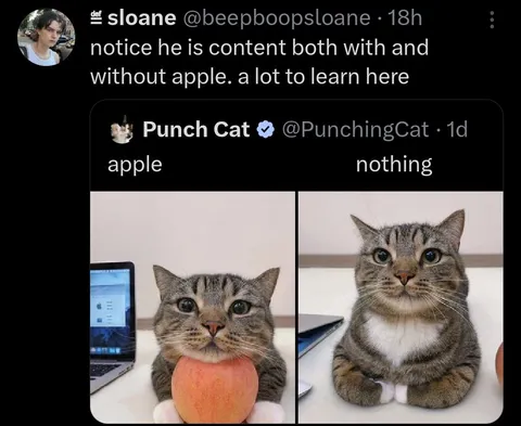Content With or Without Apple