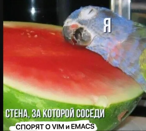 Попугай слушает спор соседей