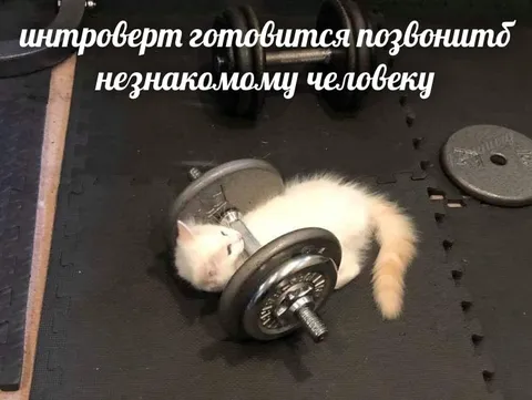 Интроверт звонит незнакомцу