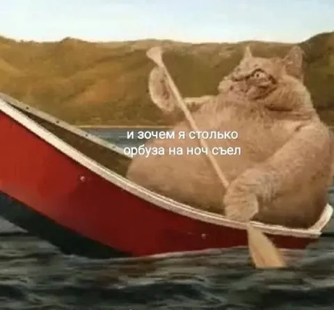 Кот съел много арбуза