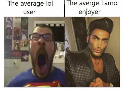 Average LoL User vs Lamo Enjoyer