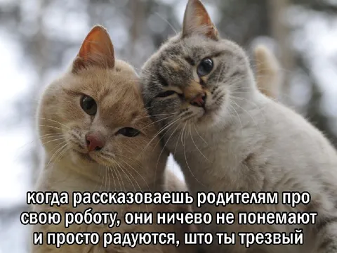 Родители радуются трезвости