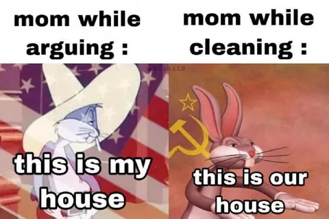 Mom While Arguing and Cleaning
