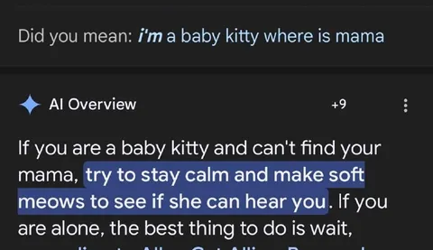 AI Overview Baby Kitty Mama