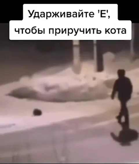Удерживайте E, чтобы приручить кота