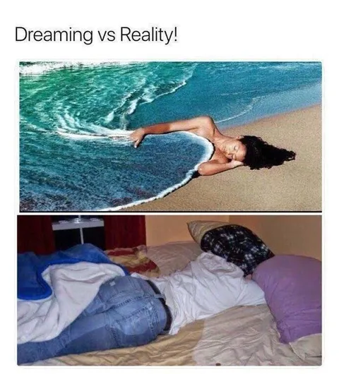 Dreaming vs Reality Beach