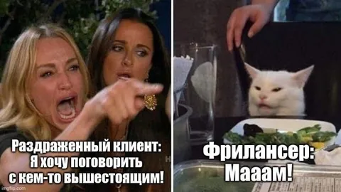 Раздраженный клиент и фрилансер
