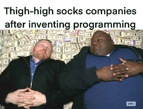 Thigh-high Socks Companies After Programming