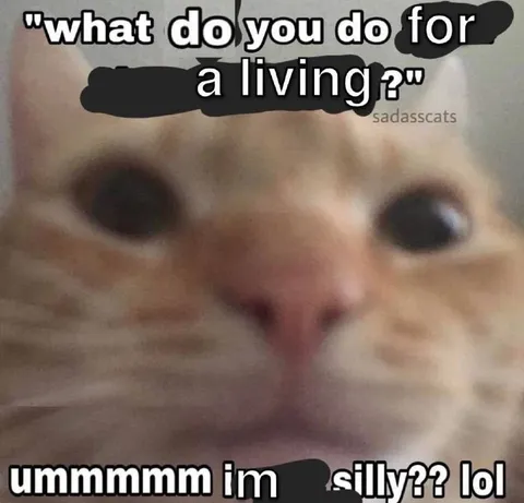 Cat Says It Is Silly