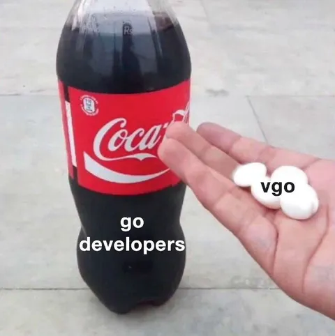 Go Developers Give vgo