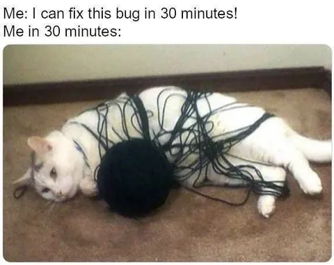 Fixing the Bug in 30 Minutes
