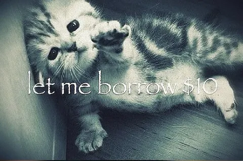 Let Me Borrow $10 Cat
