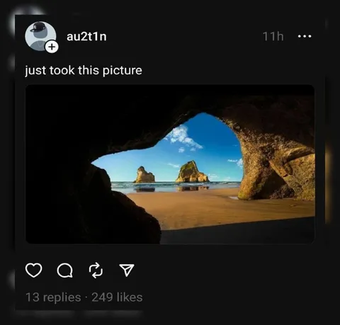 Just Took This Picture