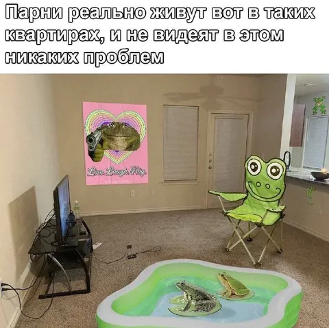 Лягушки живут в таких квартирах