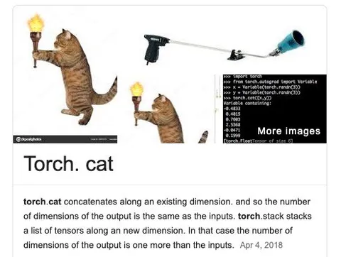 Torch Cat Concatenation