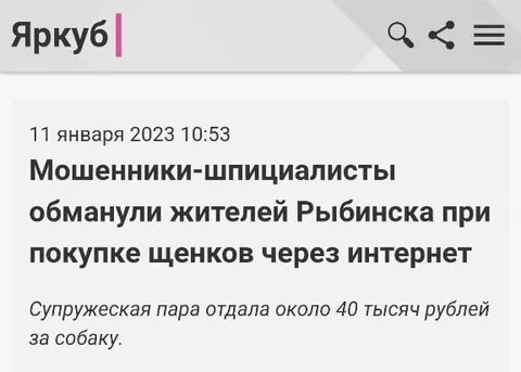 Мошенники-шпициалисты обманули жителей