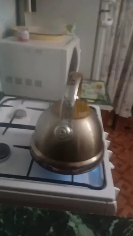 Орущий чайник на плите