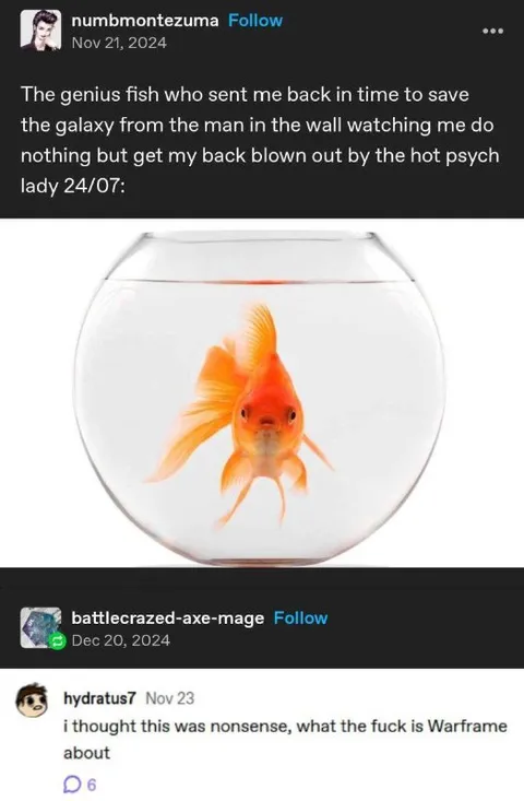Time-Traveling Goldfish Saves the Galaxy