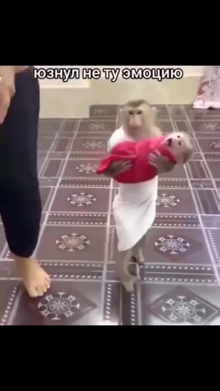 Юзнул не ту эмоцию