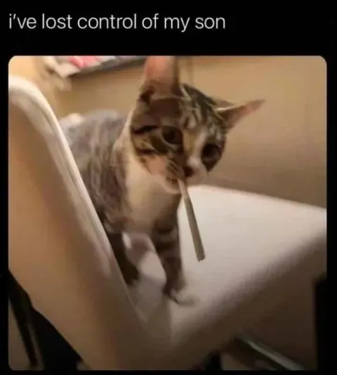 I’ve Lost Control of My Son