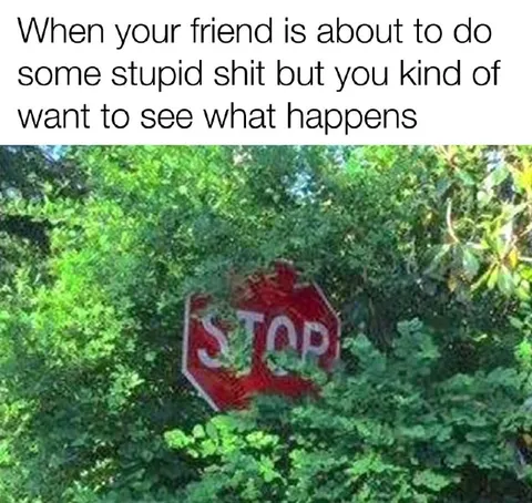 When You Want to Watch the Chaos