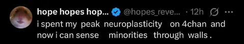 Peak Neuroplasticity on 4chan