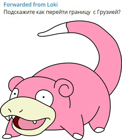 Как перейти границу с Грузией