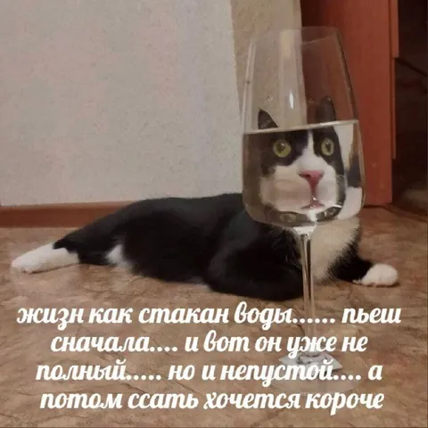 Жизнь как стакан воды