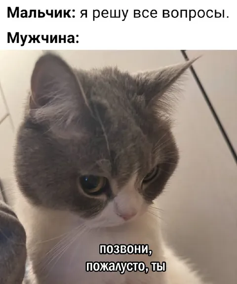 Кот просит позвонить