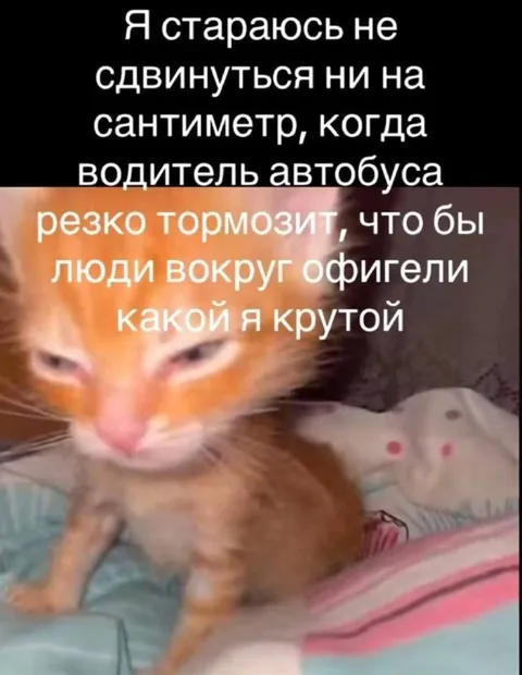 Крутой пассажир автобуса